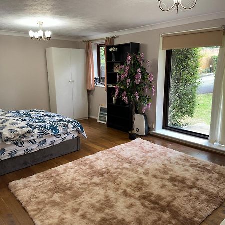 Stunning 2 Bedroom With Garden Sleep 6 Londra Esterno foto